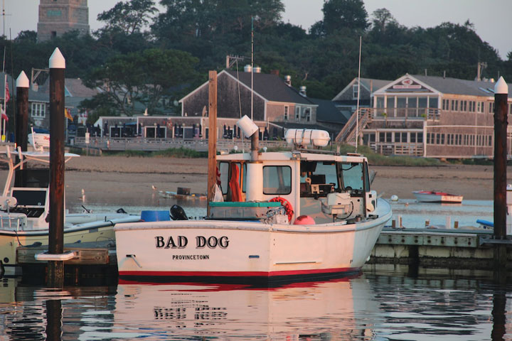Provincetown Harbor, fishing boats and yachts, Bad Day