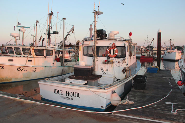 Provincetown Harbor, fishing boats and yachts, Idle Hour