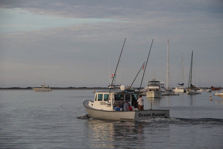 Provincetown Harbor, fishing boats and yachts, Ocean Runner