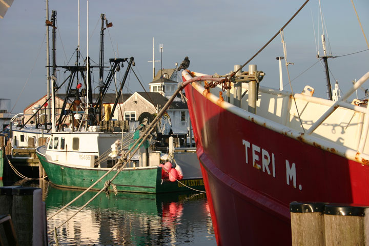 Ptown Harbor, MacMillan Pier, Fishing Boats