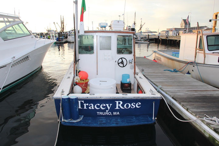 Tracey Rose