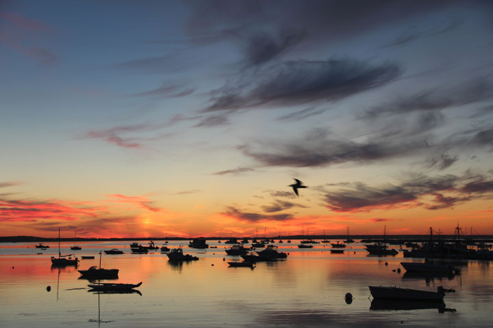 Provincetown Harbor, August 25, 2012 sunrise... Wake up Provincetown! New day is coming!