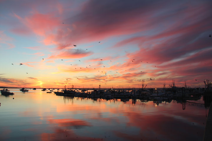 Provincetown Harbor, August 25, 2012 sunrise... The birds are up!