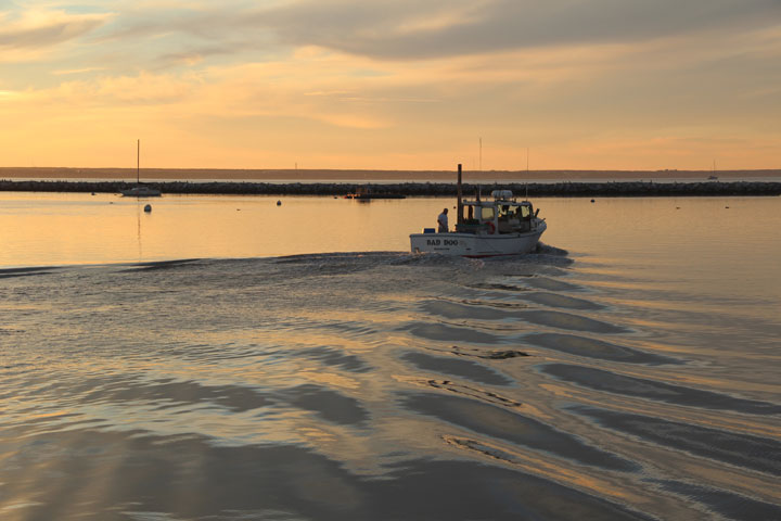 Provincetown Harbor, August 25, 2012 sunrise... Bad Dog going fishing...