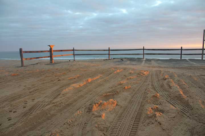 Photograph by Ewa Nogiec, Cape Cod National Seashore Park, North Truro, Coast Guard Beach sunrise (so much sand!)