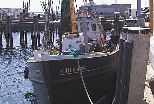 Provincetown fishing boat Chico-Jess