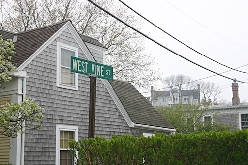 West Vine Street, West End of Provincetown