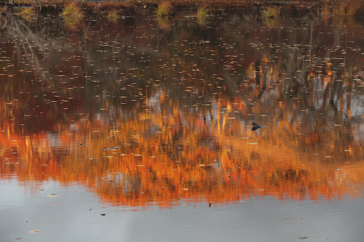 Autumn in Provincetown