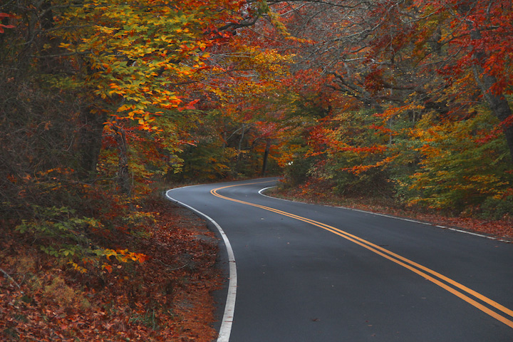 Autumn in Provincetown