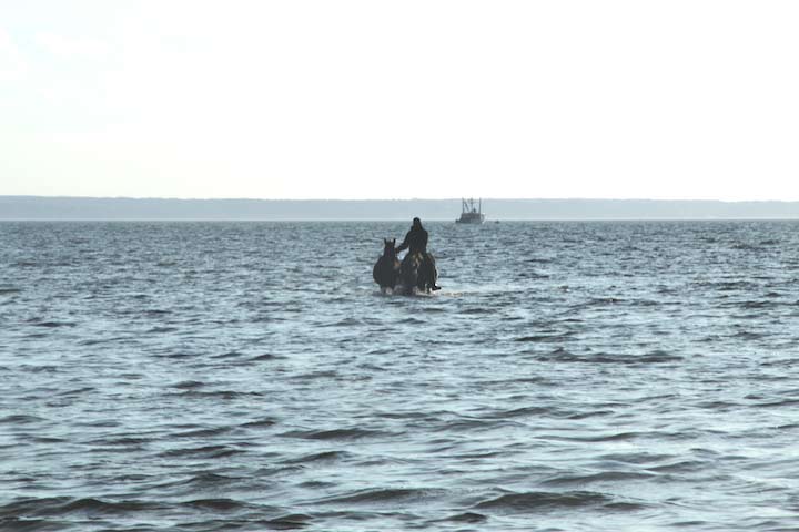 Horsen in the water, Ptown East End