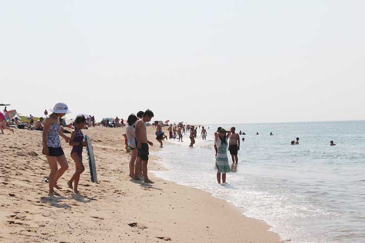 Race Point Beach, Cape Cod National Seashore Park, Provincetown... Atlantic Ocean calling...