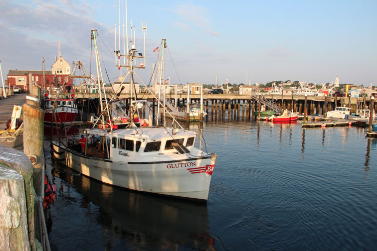 July 17, 2012 Provincetown Harbor, MacMillan Pier: Going Fishing