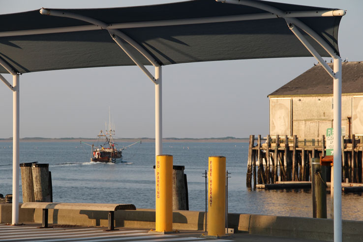 July 17, 2012 Provincetown Harbor, MacMillan Pier: Going Fishing