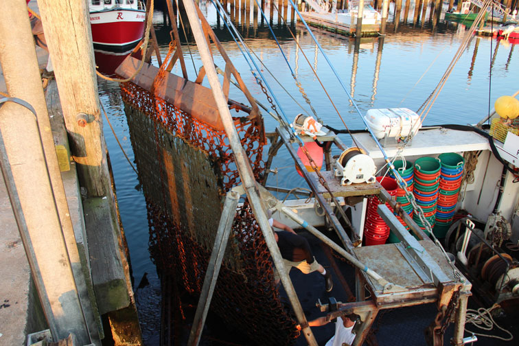 July 17, 2012 Provincetown Harbor, MacMillan Pier: Going Fishing