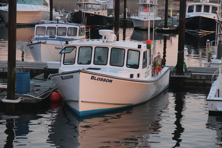 Provincetown Harbor, fishing boats and yachts