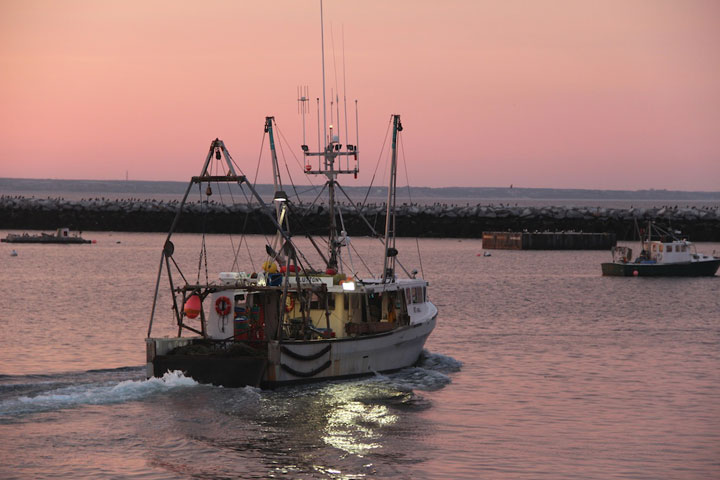 Provincetown Harbor, fishing boats and yachts, Glutton