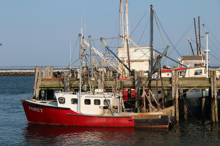 Ptown Harbor, MacMillan Pier, Fishing Boats