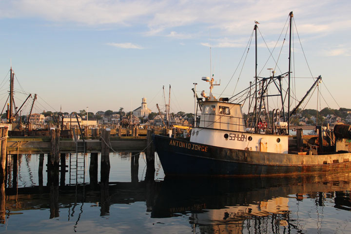 Ptown Harbor, MacMillan Pier, Fishing Boats