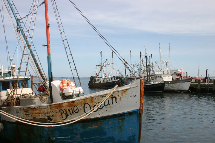 Ptown Harbor, MacMillan Pier, Fishing Boats