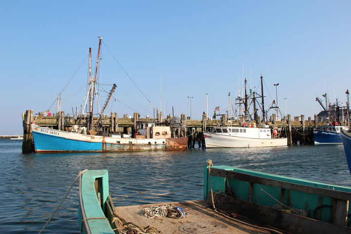 Ptown Harbor, MacMillan Pier, Fishing Boats