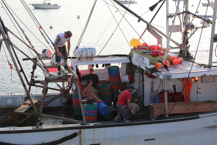 Ptown Harbor, MacMillan Pier, Fishing Boats