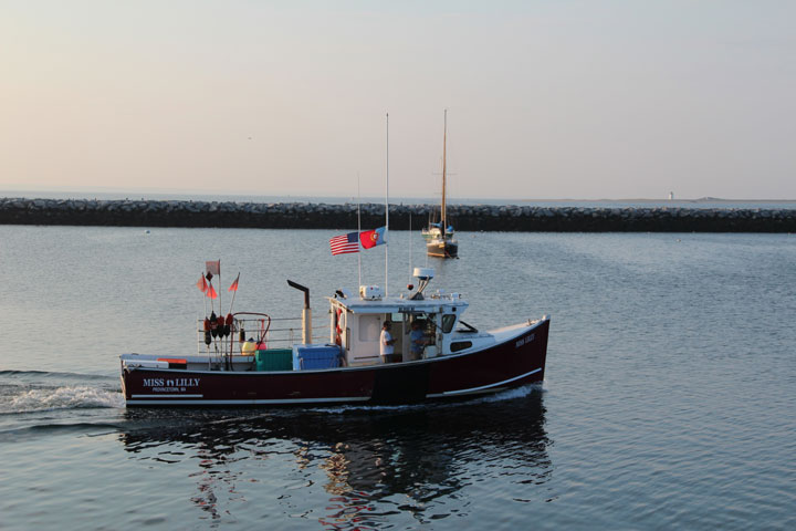 Ptown Harbor, MacMillan Pier, Fishing Boats