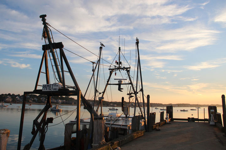 Ptown Harbor, MacMillan Pier, Fishing Boats