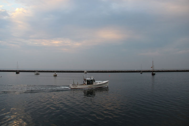 Ptown Harbor, MacMillan Pier, Fishing Boats