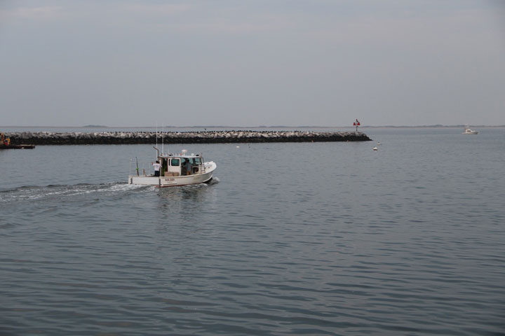 Ptown Harbor, MacMillan Pier, Fishing Boats