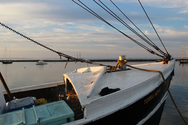 Ptown Harbor, MacMillan Pier, Fishing Boats