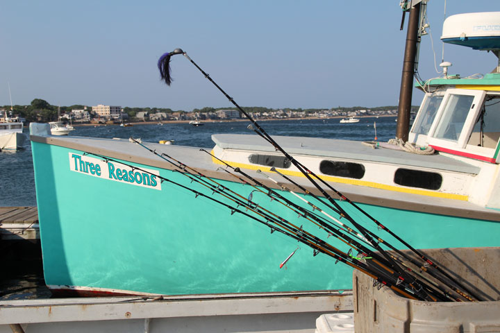 Ptown Harbor, MacMillan Pier, Fishing Boats