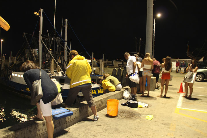 Squid Fishing at MacMillan Pier, Provincetown Harbor