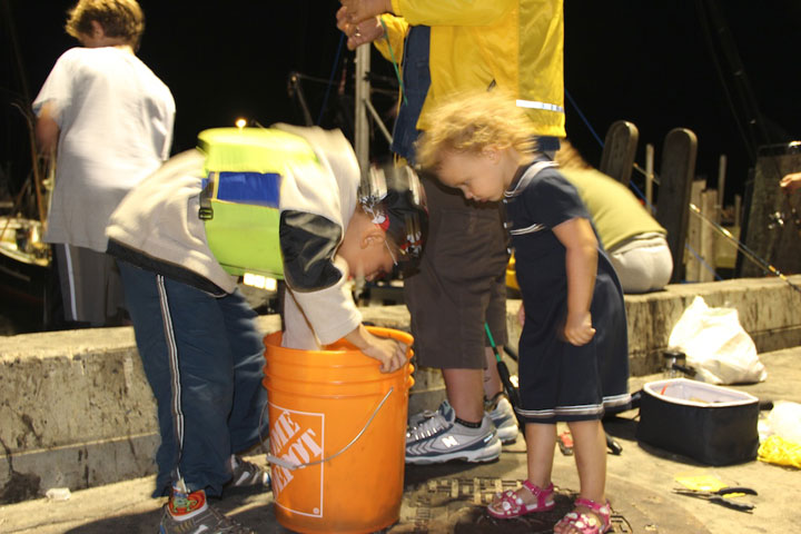 Squid Fishing at MacMillan Pier, Provincetown Harbor