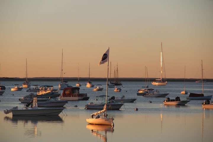 Fisherman's Wharf, looking from MacMillan Pier