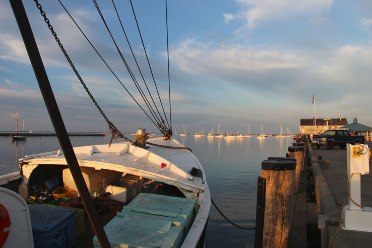 Thursday, July 12th, early morning at Provincetown Harbor