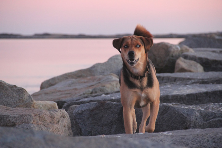 Provincetown West End, Moors and breakwater sunset, December 3, 2012