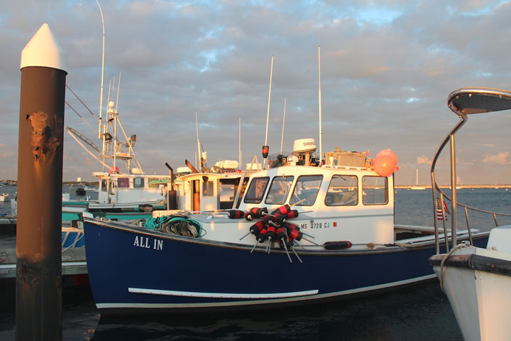 Provncetown Harbor, MacMillan Pier