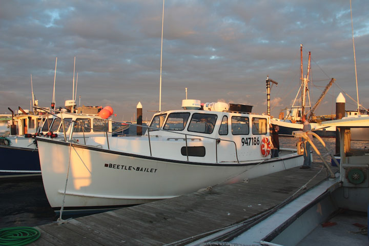 Provncetown Harbor, MacMillan Pier