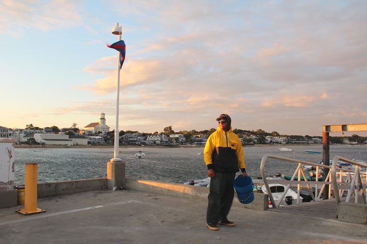 Provncetown Harbor, MacMillan Pier