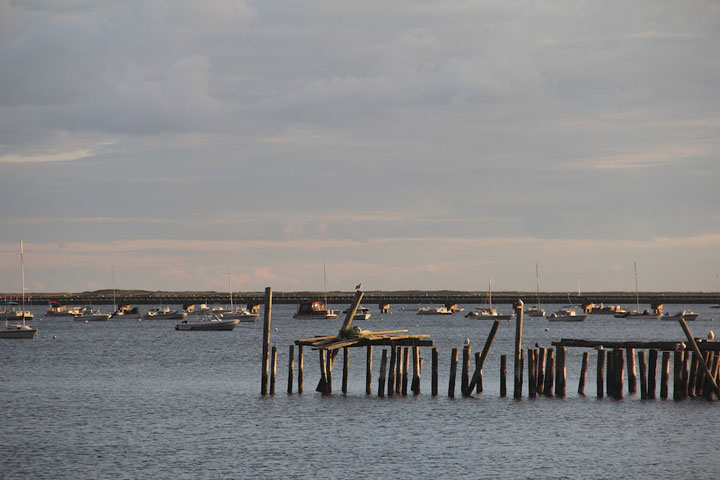 Provncetown Harbor, MacMillan Pier