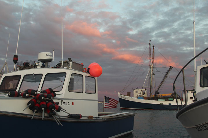 Provncetown Harbor, MacMillan Pier