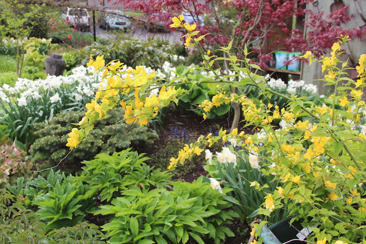 Provincetown Spring, Garden center at Race Point Road