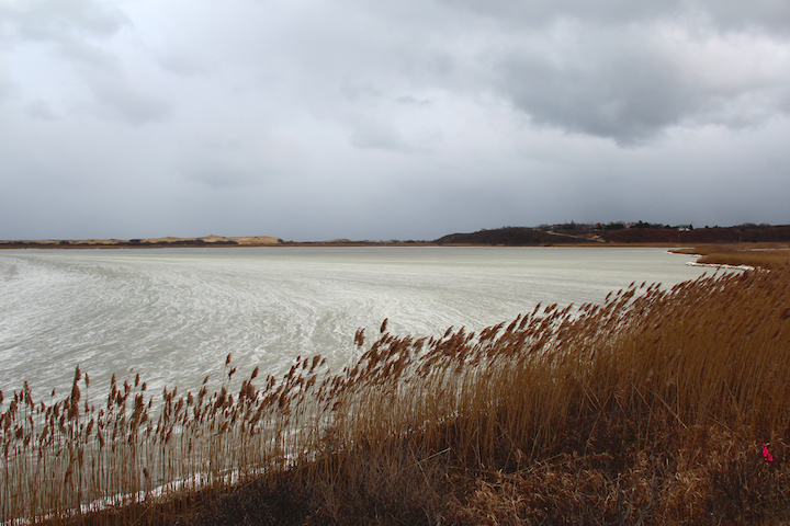 Pilgrim Lake, Provincetown and North Truro, first ice