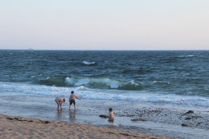 Herring Cove Beach... very gray light with beautiful silver line on the horizon