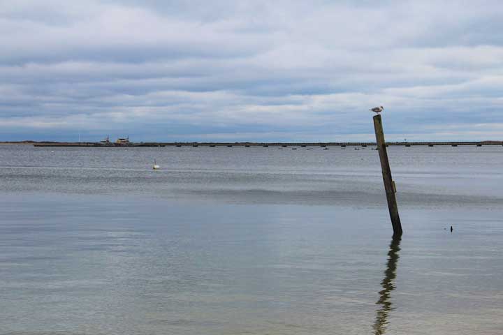 Provincetown Harbor