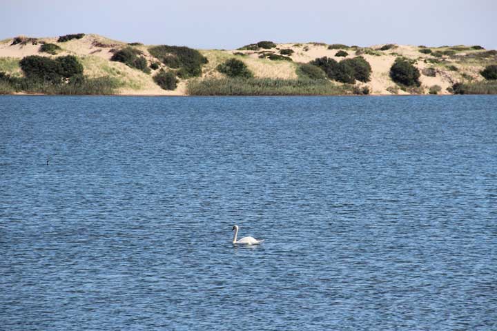 Photograph by Ewa Nogiec, Painting Beach Point