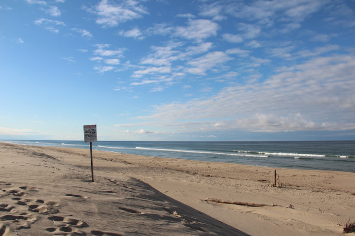 Coast Guard Beach, North Truro