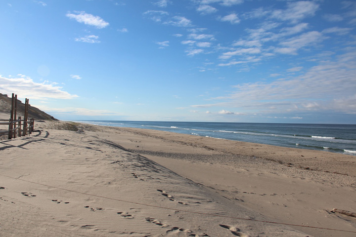 Coast Guard Beach, North Truro