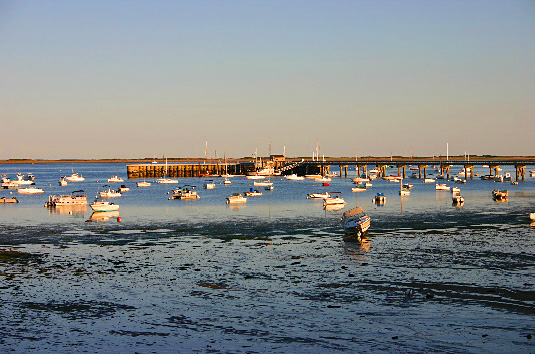 Provincetown Harbor, Fishing Boats