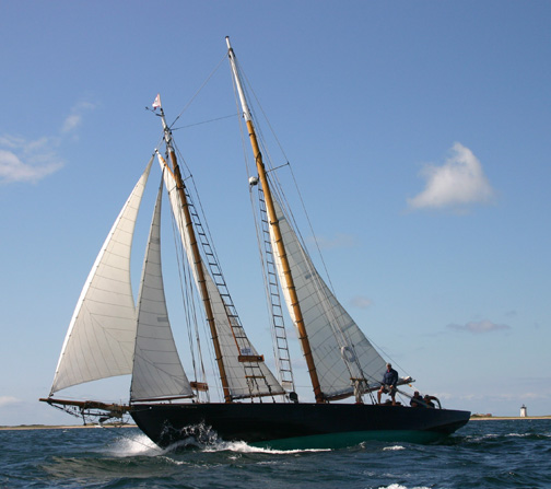 Provincetown Schooner Regatta